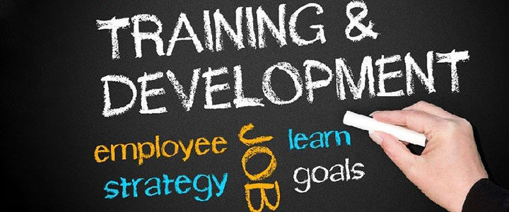 AHEAD Human Resources Find and Keep Good Employees